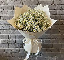 Букет цветов из:  Ромашки в Михайловской